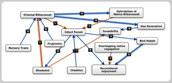 Fuzzy Logic Cognitive Map using Mental Modeller